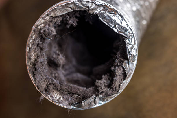 Best Residential Air Duct Cleaning  in Cadott, WI