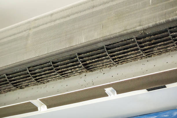 Best Air Duct Cleaning Near Me in WI