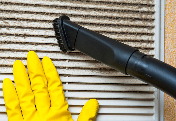 Best Air Duct Mold Removal  in Cadott, WI